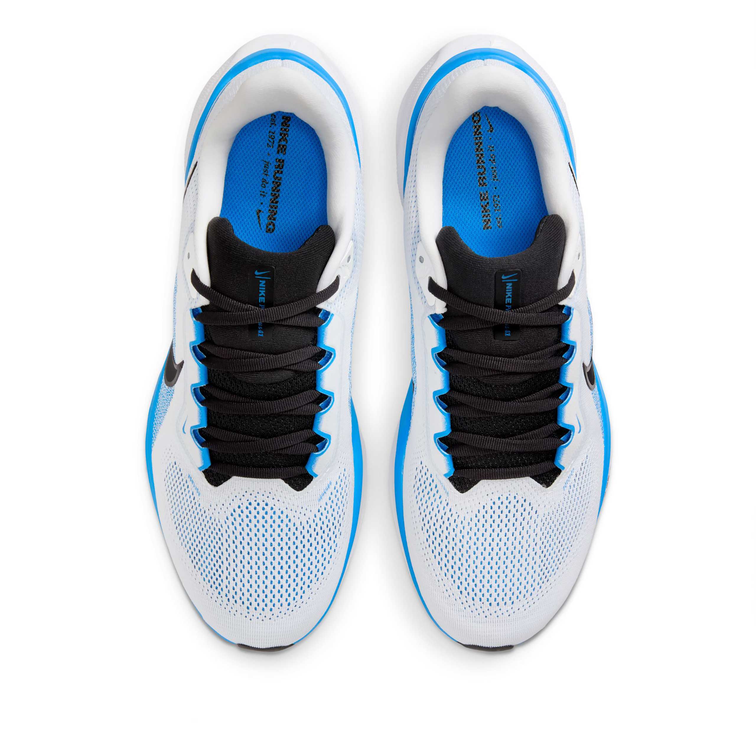 Pegasus 41 - Image 5